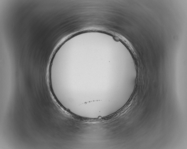 X0000112211199200908071257