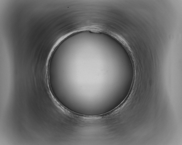 X0000112211200200908071257