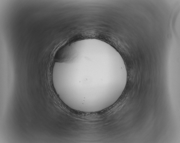 X0000112211201200908071256