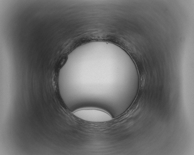 X0000112211202200908071256