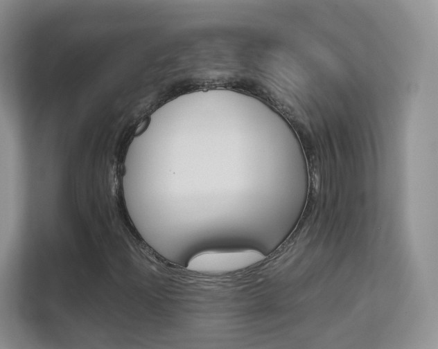 X0000112211204200908071256