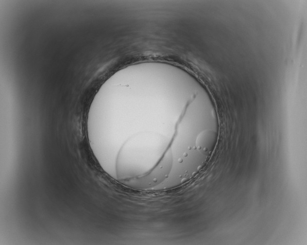 X0000112211205200908071256