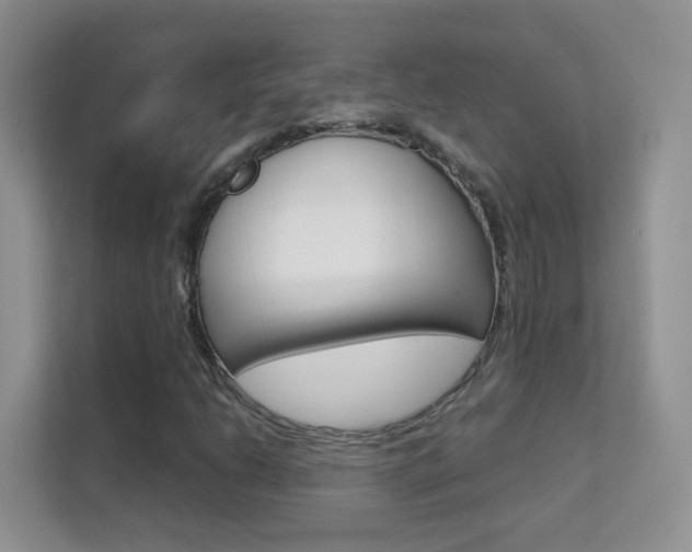 X0000112211206200908071256
