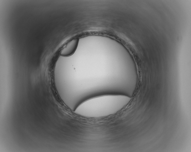 X0000112211208200908071256