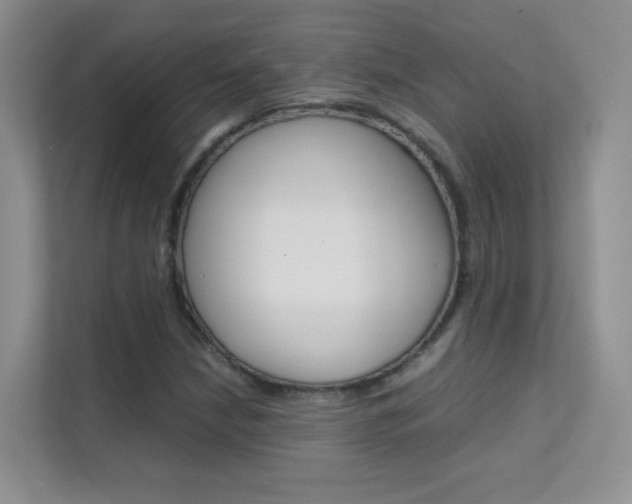 X0000112211210200908071256