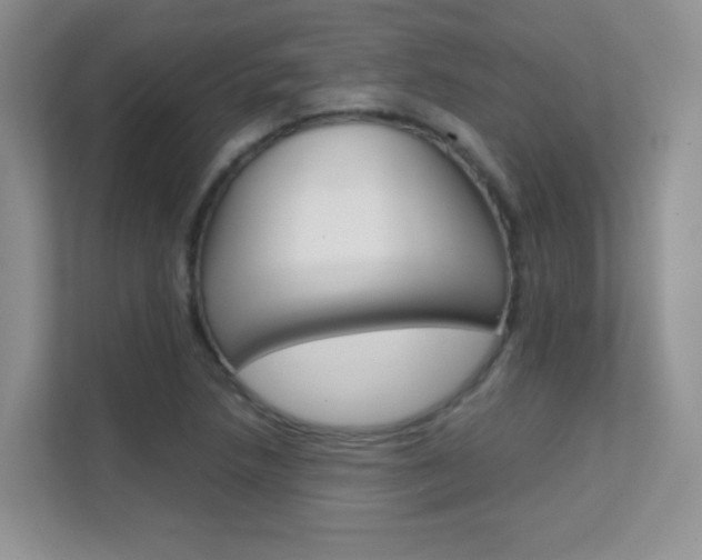 X0000112211218200908071256