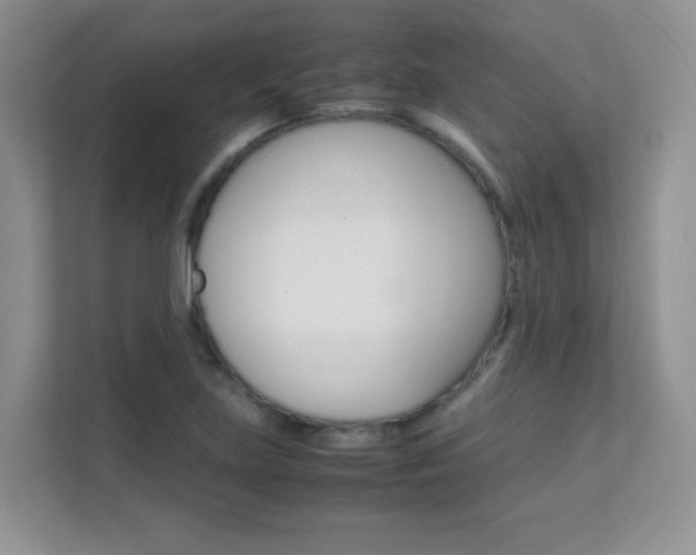 X0000112211219200908071256