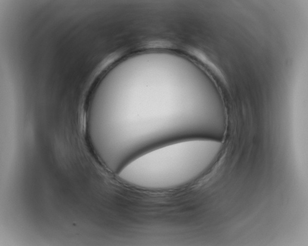 X0000112211221200908071256