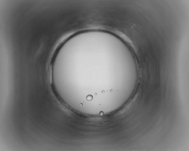 X0000112211223200908071256