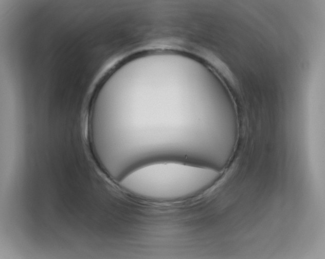 X0000112211224200908071256