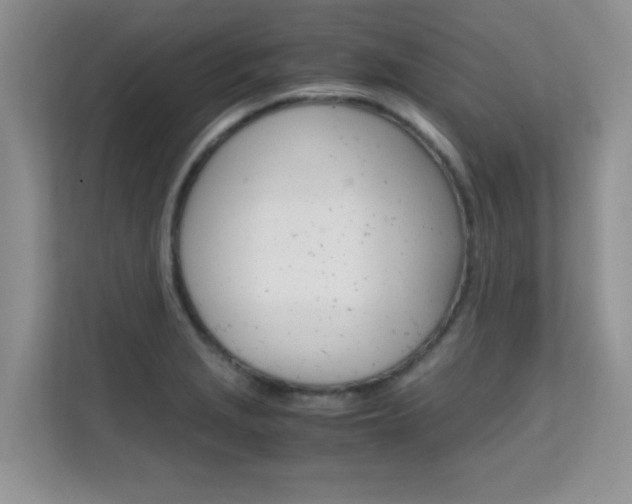 X0000112211229200908071256