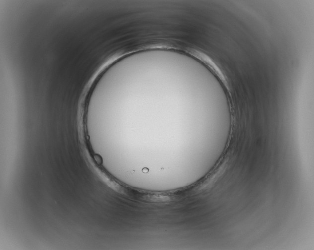 X0000112211235200908071256