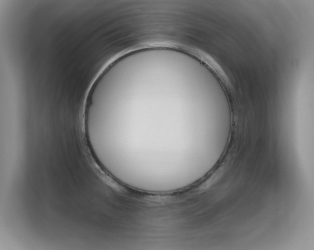 X0000112211236200908071256