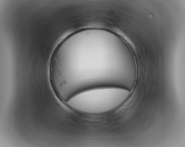 X0000112211237200908071256