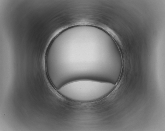 X0000112211238200908071256