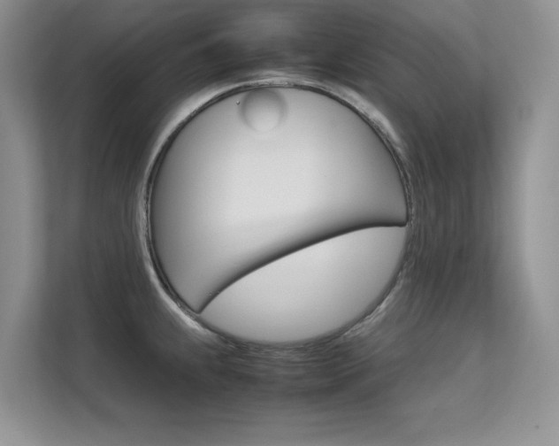 X0000112211239200908071256