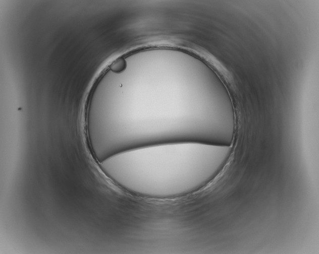 X0000112211240200908071256