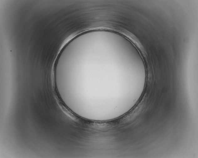 X0000112211242200908071256