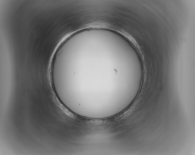 X0000112211248200908071256