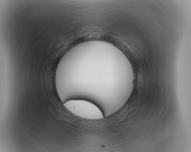 X0000112211250200908071256