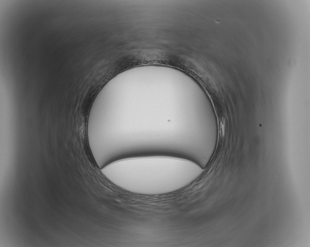 X0000112211251200908071256