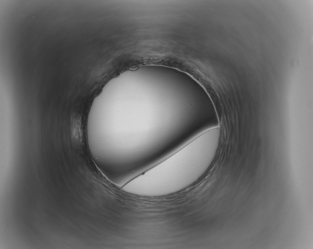 X0000112211252200908071256