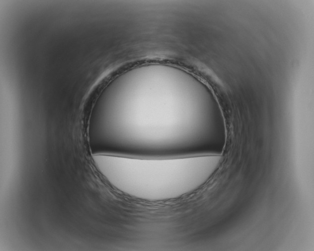 X0000112211256200908071256