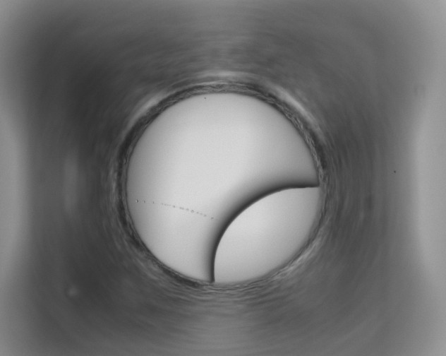 X0000112211259200908071256