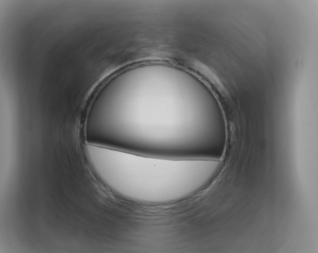 X0000112211260200908071256