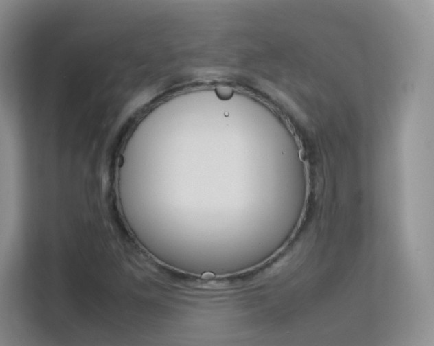 X0000112211261200908071256