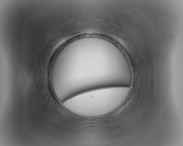 X0000112211263200908071256