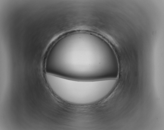 X0000112211264200908071256