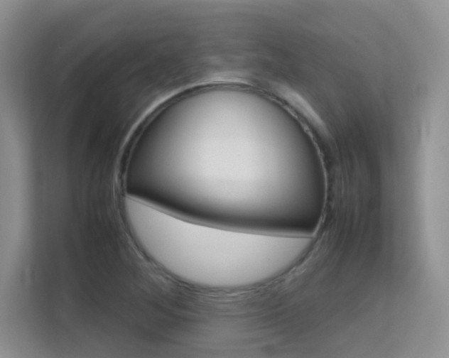 X0000112211268200908071256