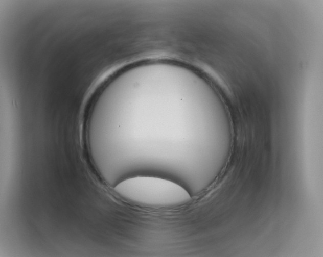 X0000112211270200908071256