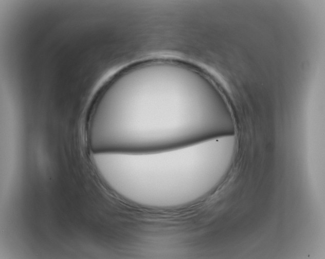 X0000112211271200908071256