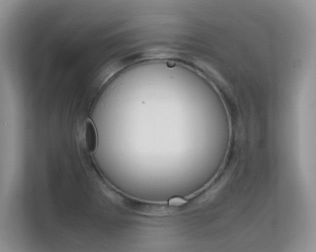 X0000112211273200908071256