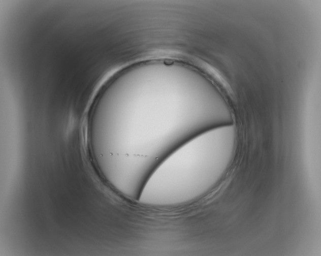X0000112211275200908071256