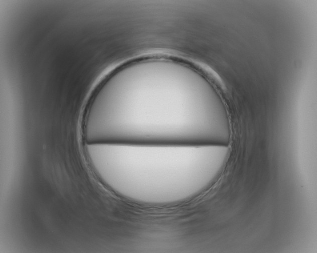 X0000112211279200908071255