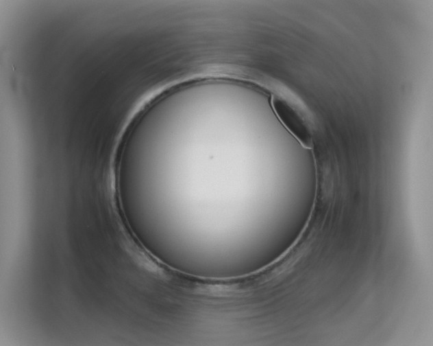 X0000112211280200908071255