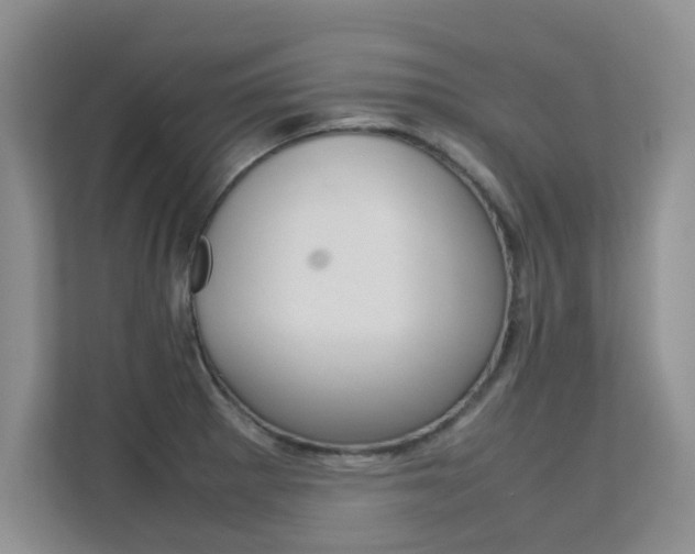 X0000112211281200908071255