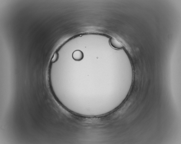 X0000112211285200908071255