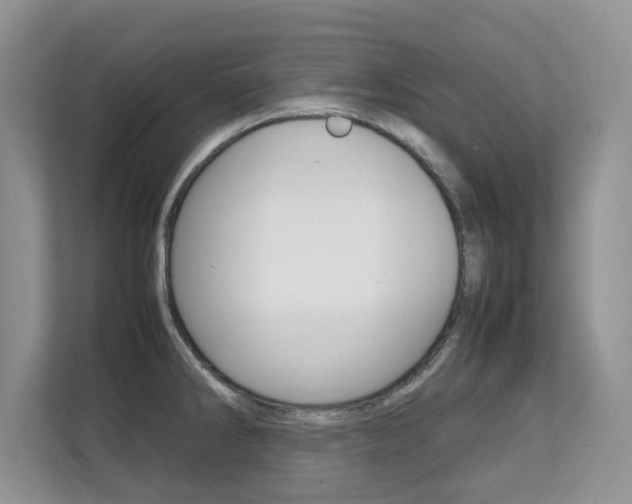X0000112211286200908071255