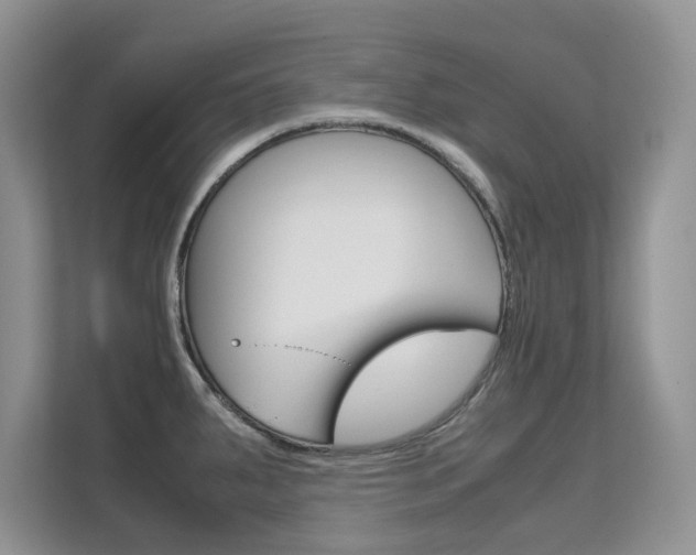 X0000112211287200908071255