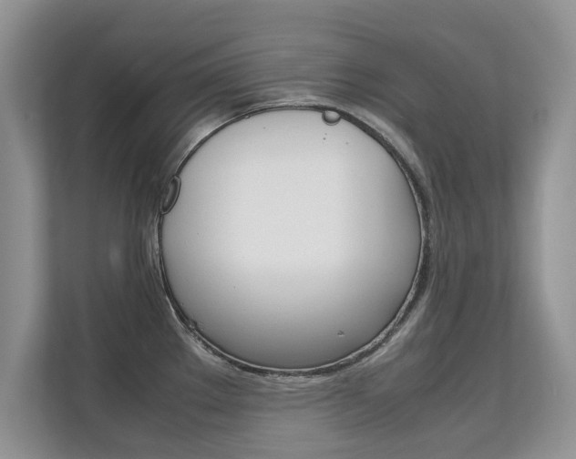 X0000112211289200908071255