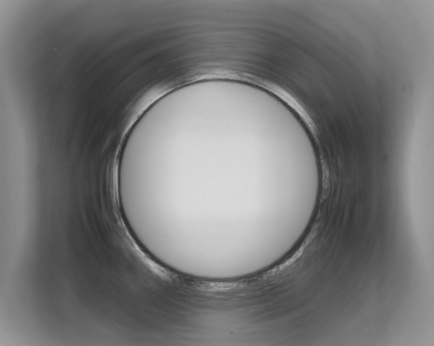 X0000112211290200908071255