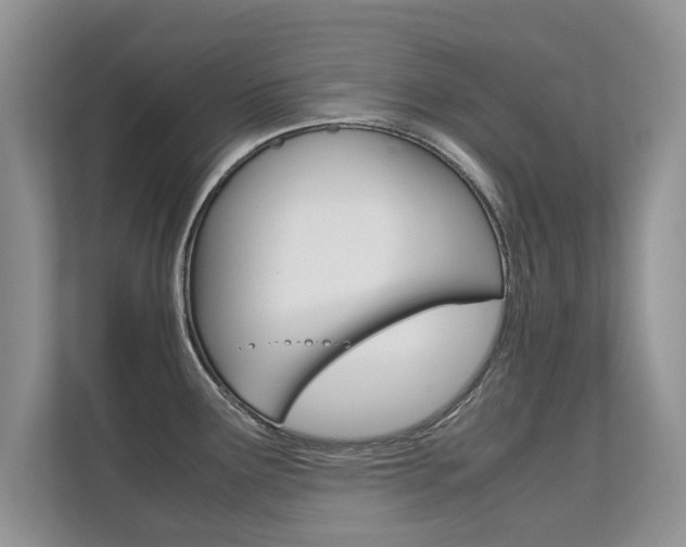 X0000112211291200908071255