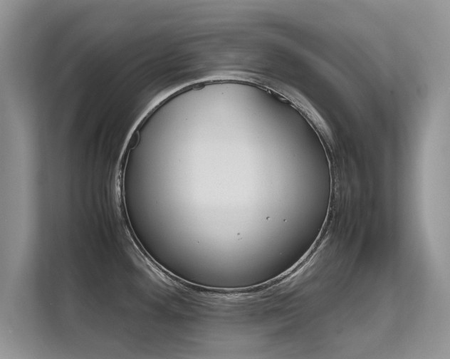X0000112211292200908071255