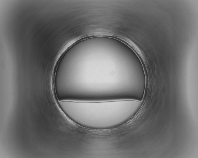 X0000112211293200908071255
