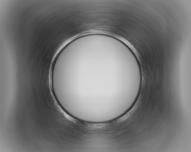 X0000112211294200908071255