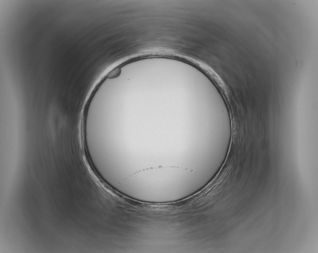 X0000112211295200908071255